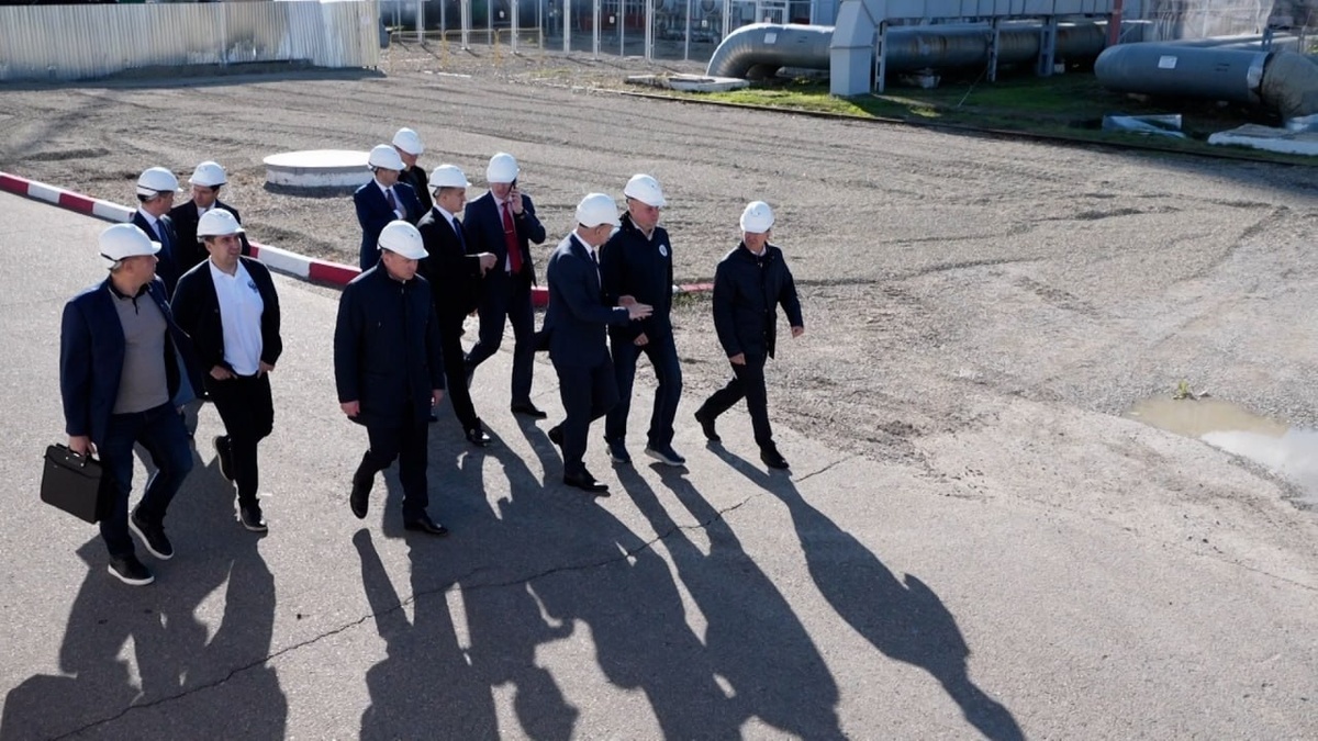    Скриншот видео телеканала «Кубань 24»