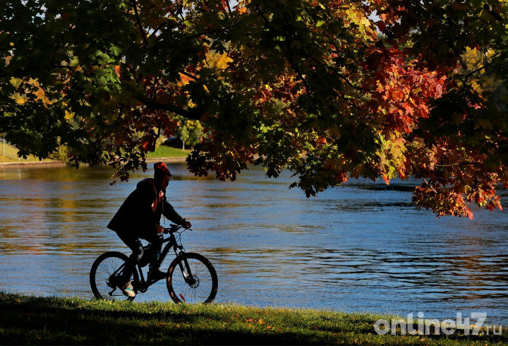 фото: Валентин Илюшин/Online47