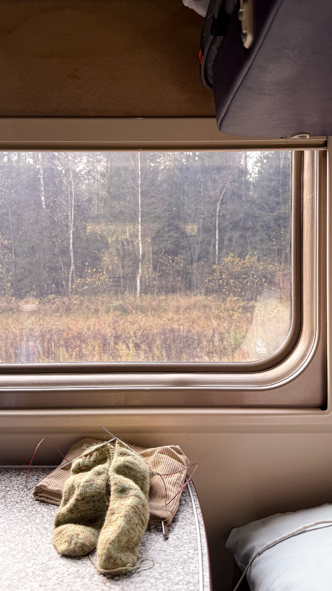 В поезд захватила "дорожный проект" - носочки