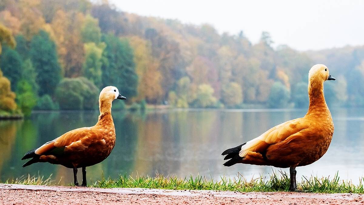    Фото: Дмитрий Дубинский / Вечерняя Москва
