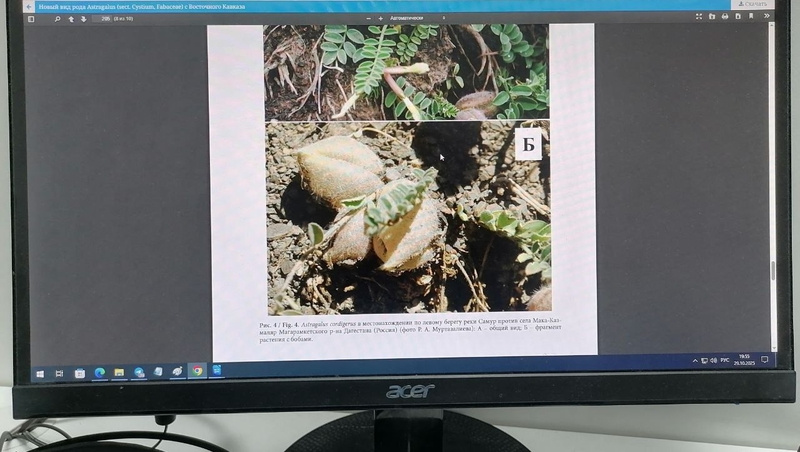      Фото: ИА «Победа26»