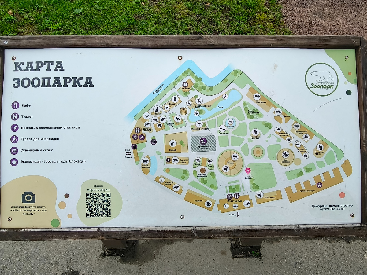5 сентября 2025 года.