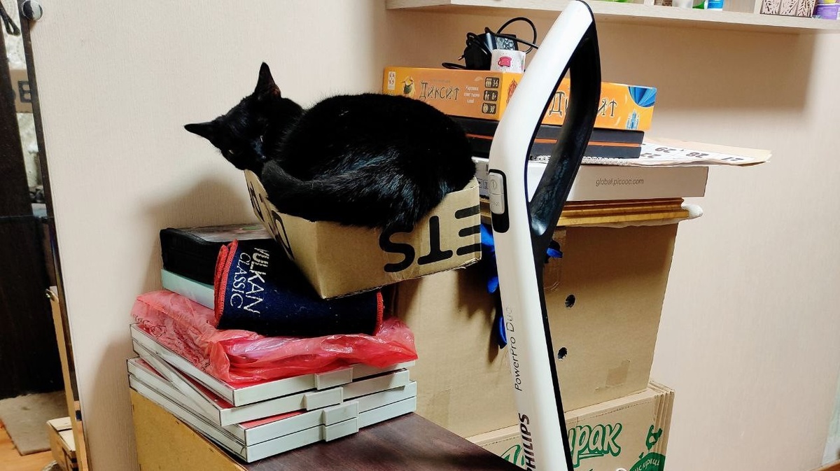 Когда в нашем доме был ремонт - Порш уставал больше всех! Да так, что дойти до дивана у него не было сил! (Из последних сил он залезал на высокую шаткую пирамиду из вещей и коробок и спал там!) ЕЩЕ ФОТО --->>