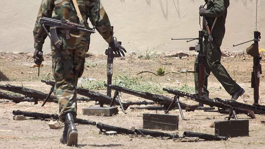    Фото: Global Look Press/Samir Bol