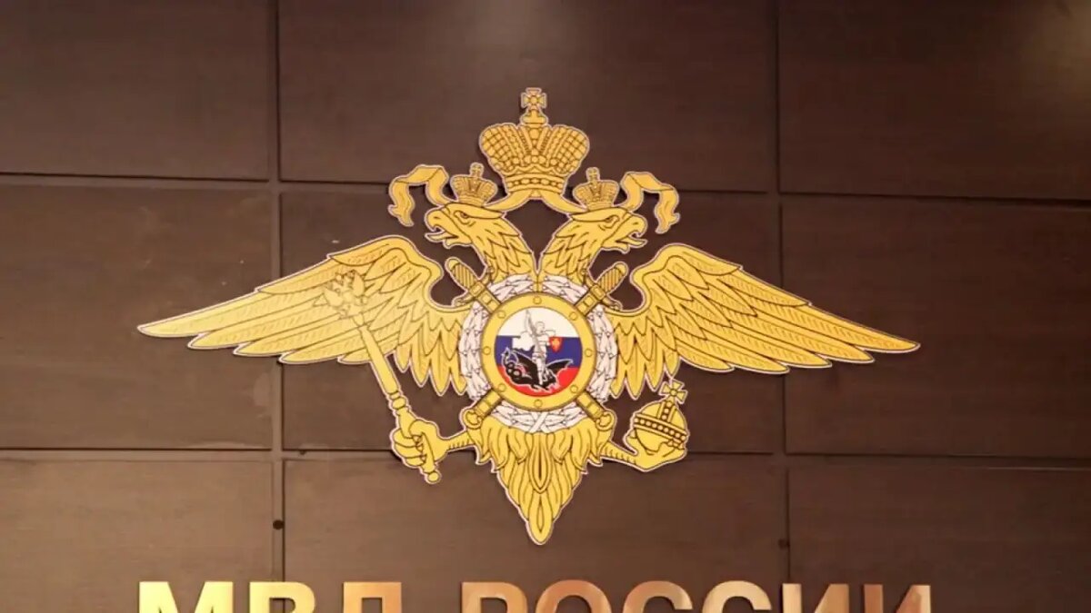     © МВД Медиа