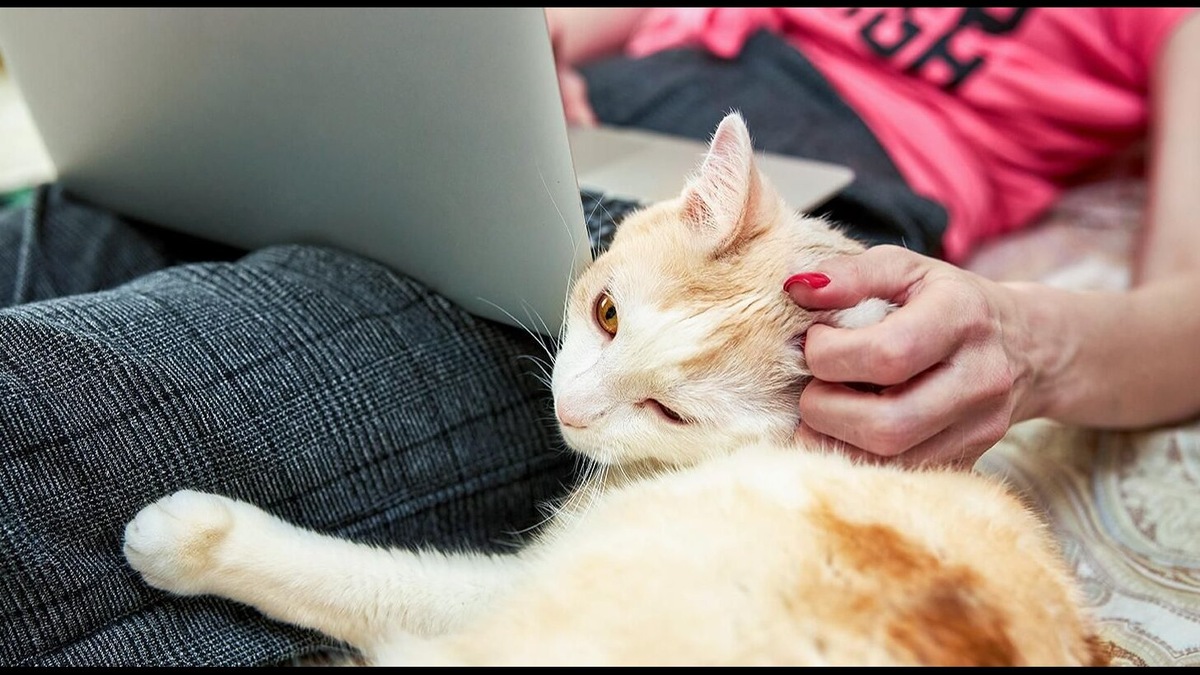 Фото: Максим Денисов. Mos.ru