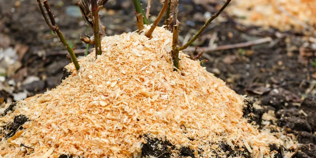 Что добавить в опилки, чтобы они стали удобрением, а не проблемой