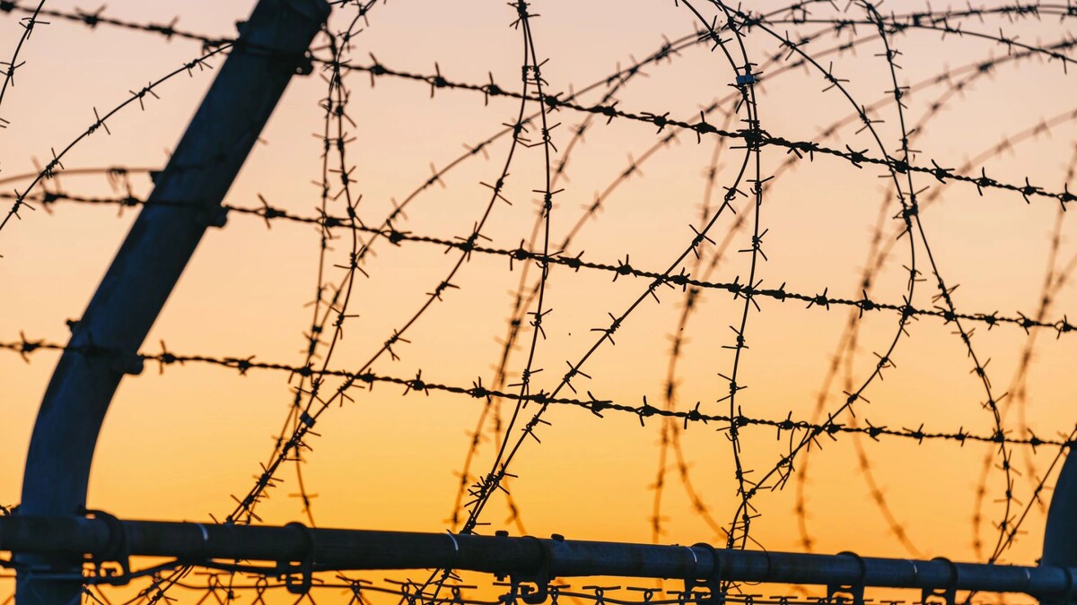    Фото: mTaira/Shutterstock/Fotodom