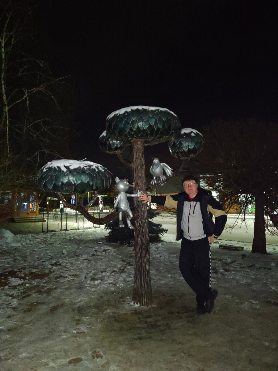 Ночь, ветер, январь. На улице -15.