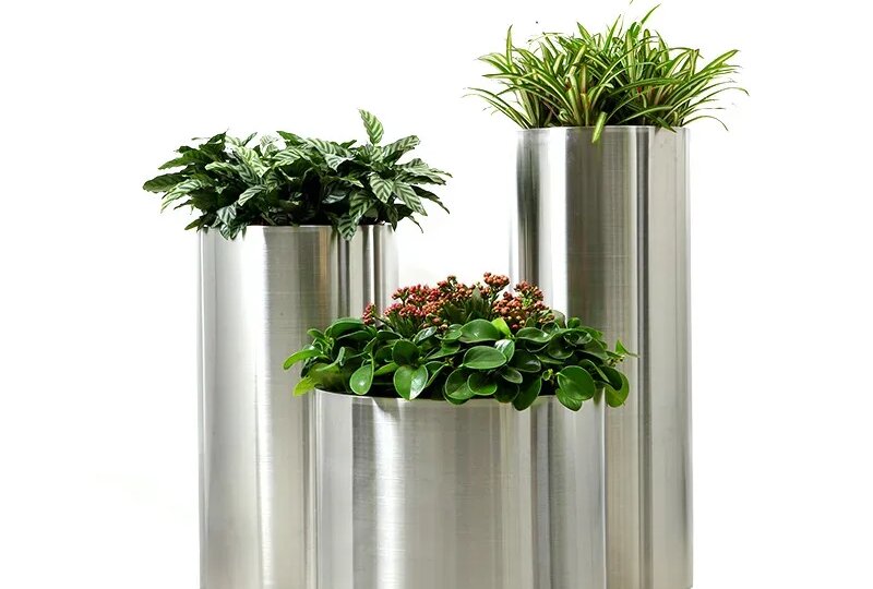 Как выбрать идеальный горшок для растения: советы по размеру, материалу и стилю