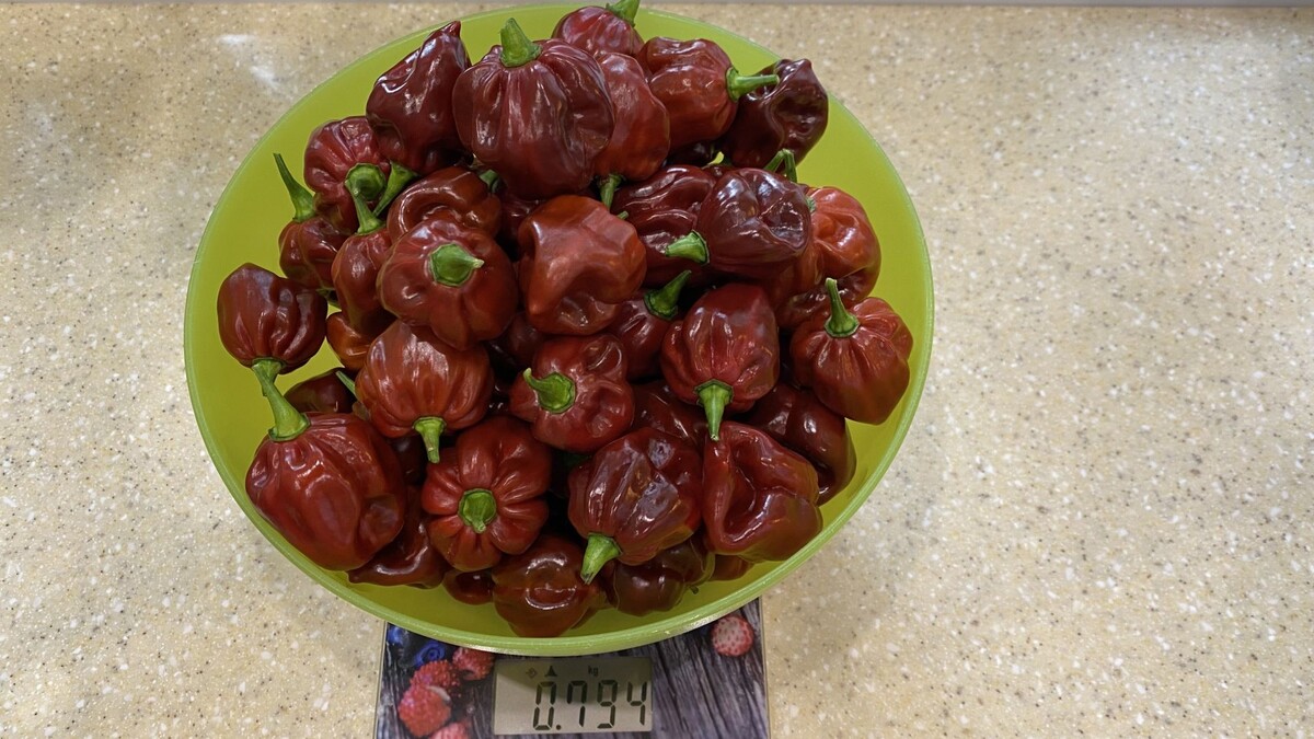 Контрольное взвешивание