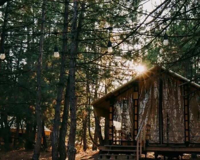 Модное понятие «глэмпинг» некоторые участники рынка используют в отношении мест размещения, которые глэмпингами не являются, говорят эксперты // Фото: глэмпинг «Синий Яр»