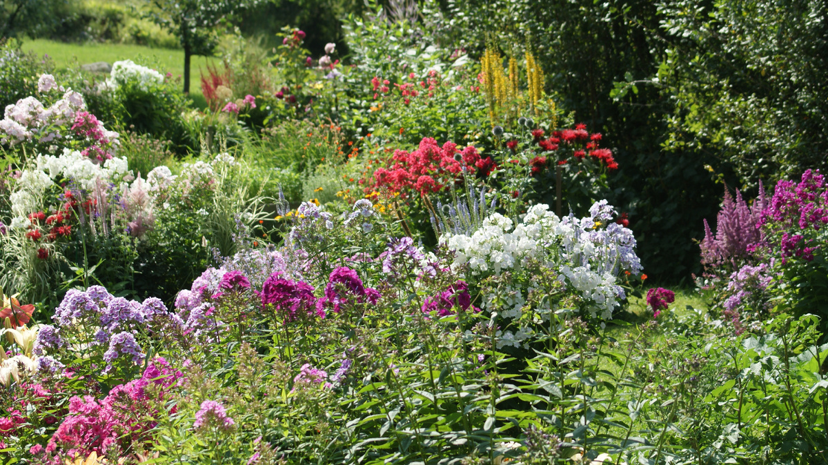 Мой лоскутный сад