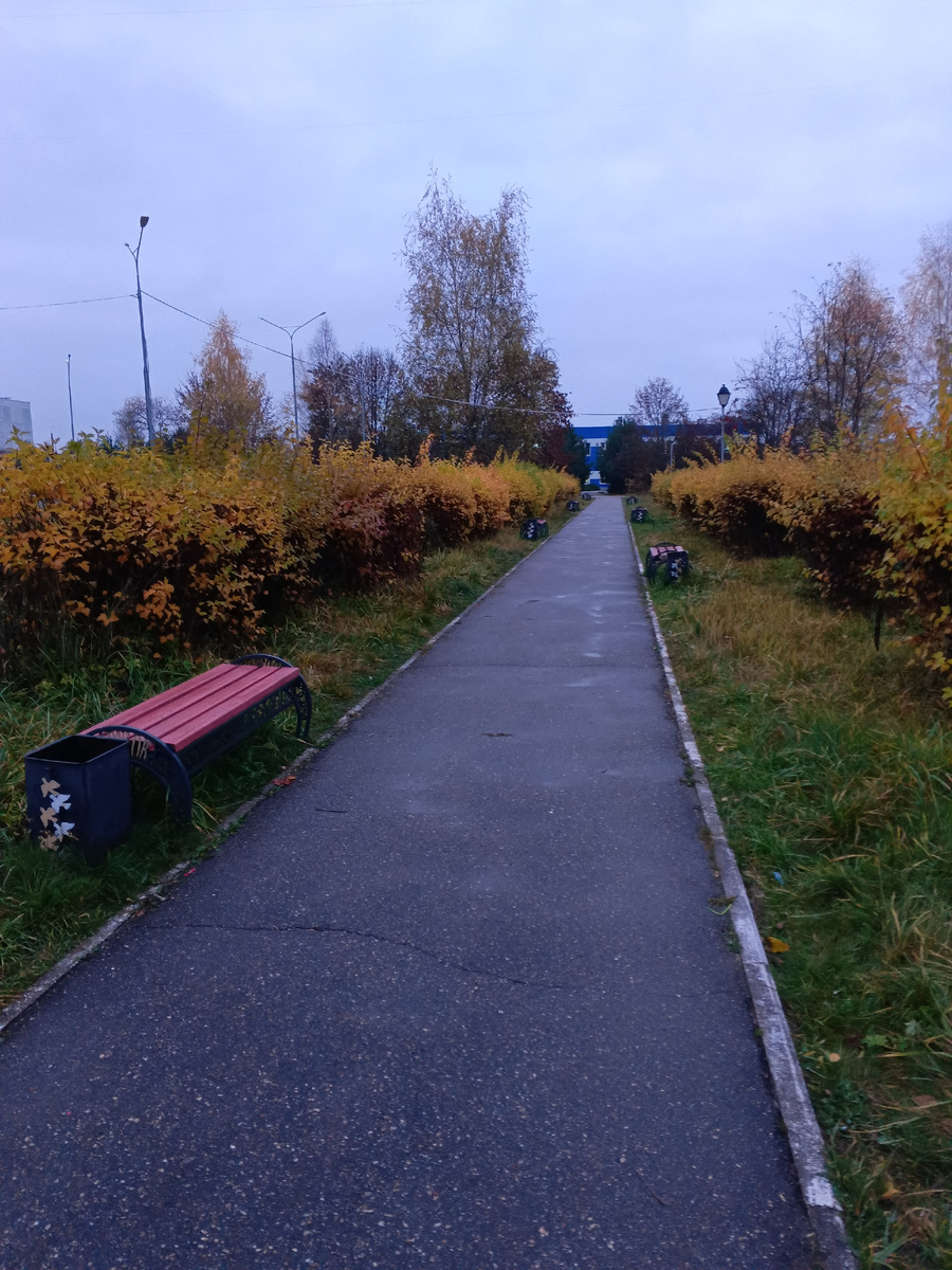 Фото автора Уголок парка , где еще есть листья на деревьях .