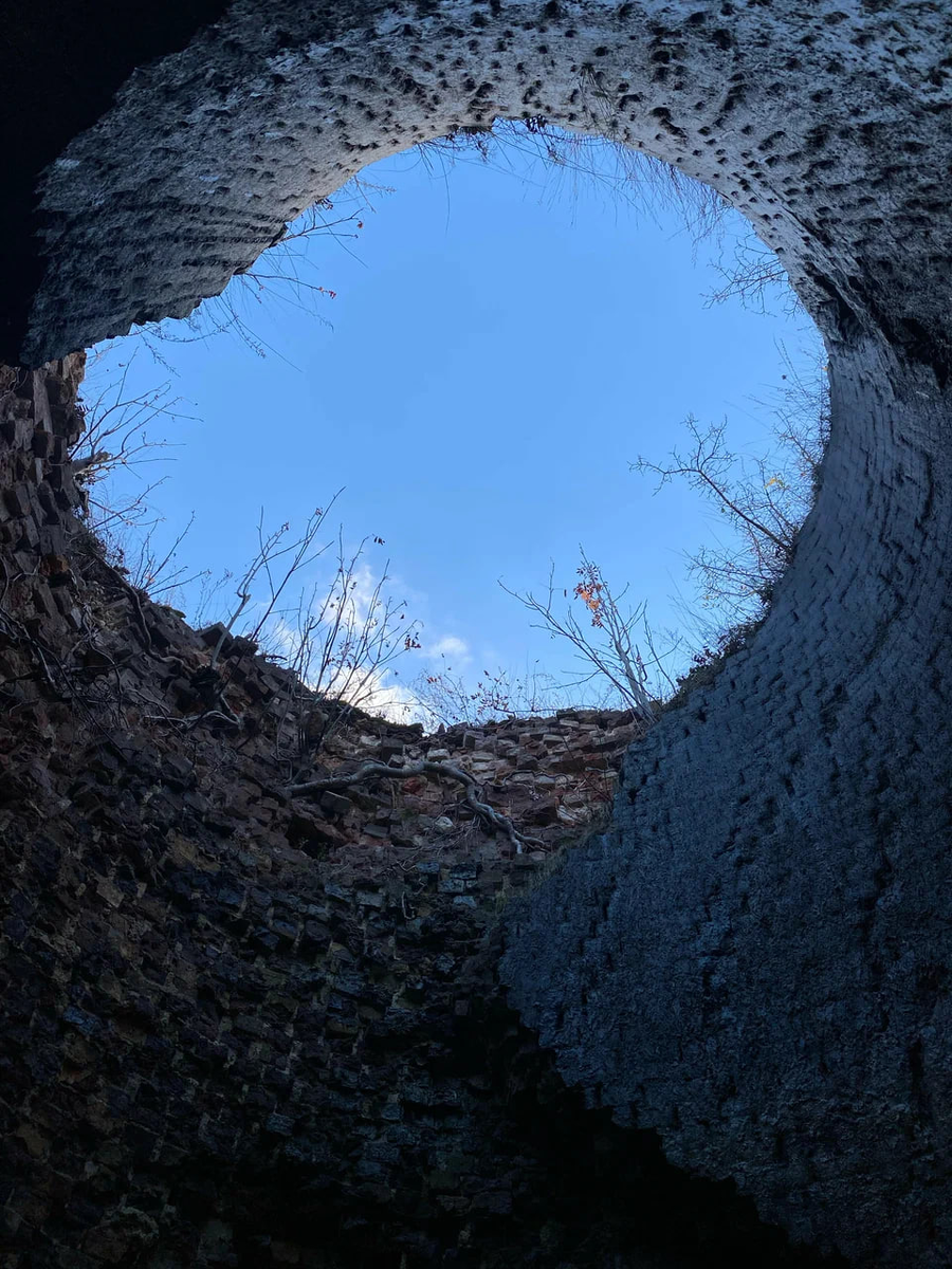 Домна Петра Первого в Истье