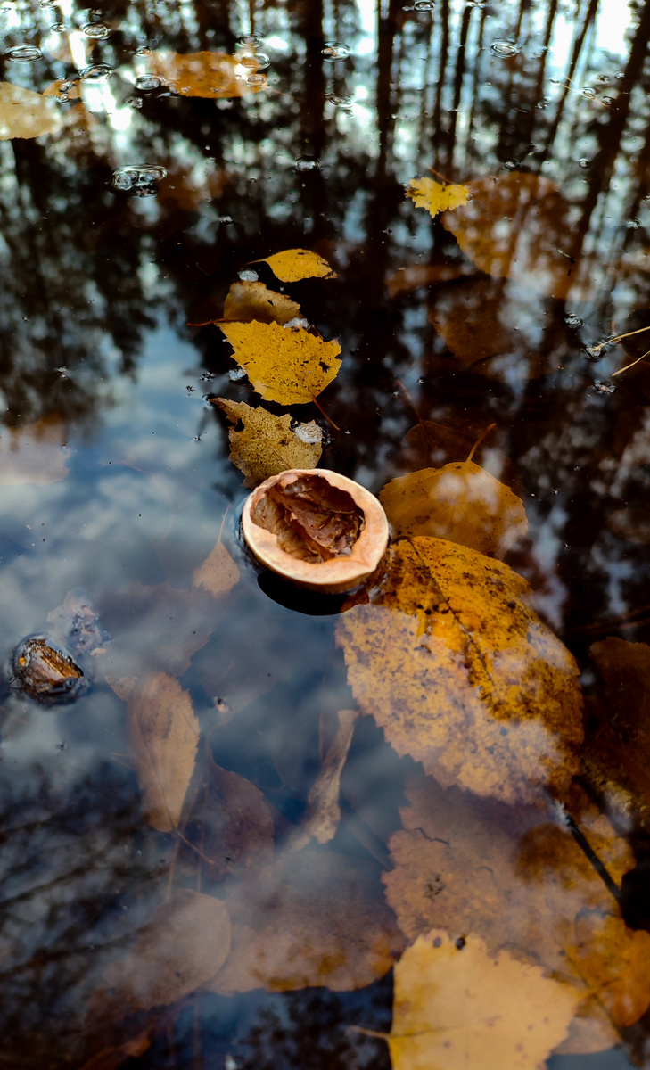 Здесь и далее фото автора. 