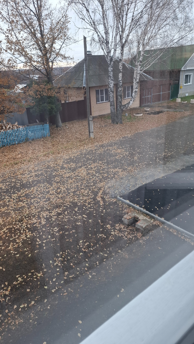 На градуснике +10 и без ❄️ снега. Пишите у кого тоже ещё не выпал снег🙂