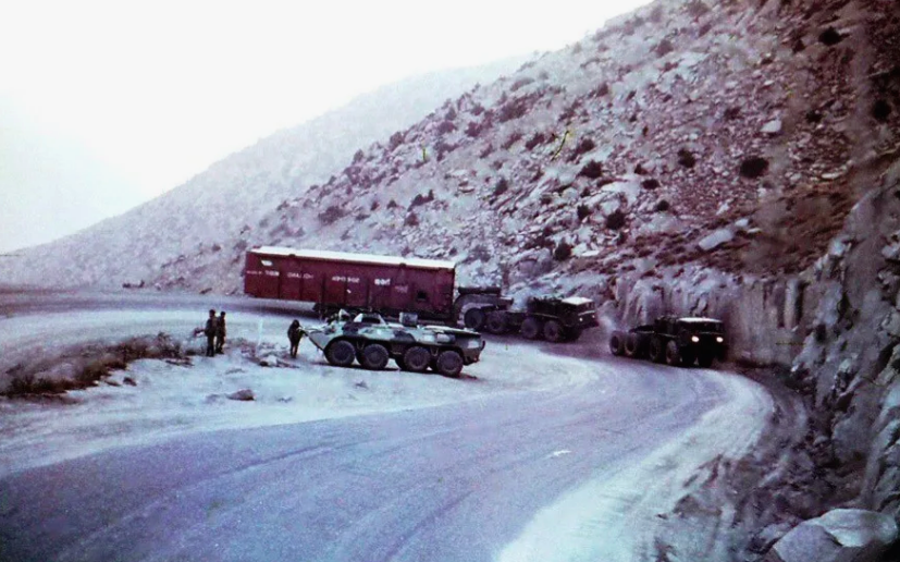 фото из интернета.