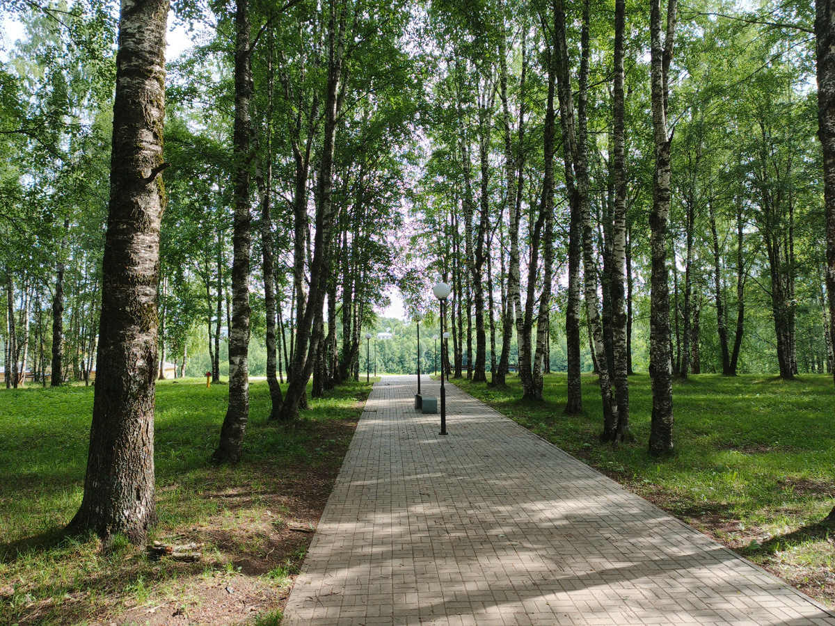 По Парку Ветеранов идём к спуску в долину речки Песья Деньга.