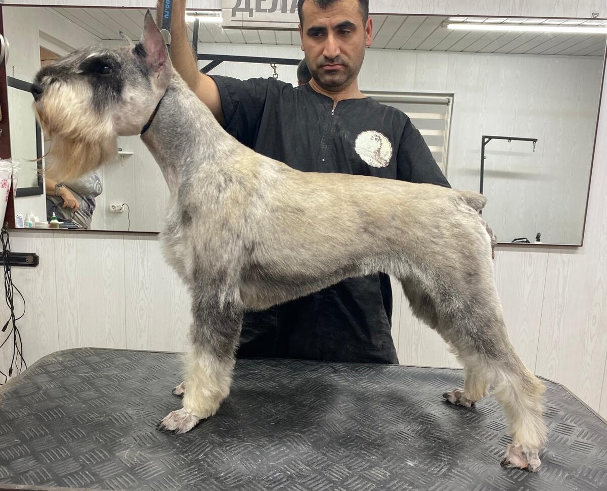 Джессика в стрижке у Захара - красавица