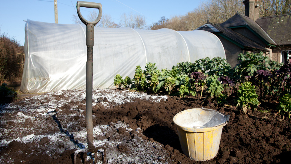 Доломитовая мука: как с ее помощью раскислить почву и для чего еще она может пригодится в саду и огороде