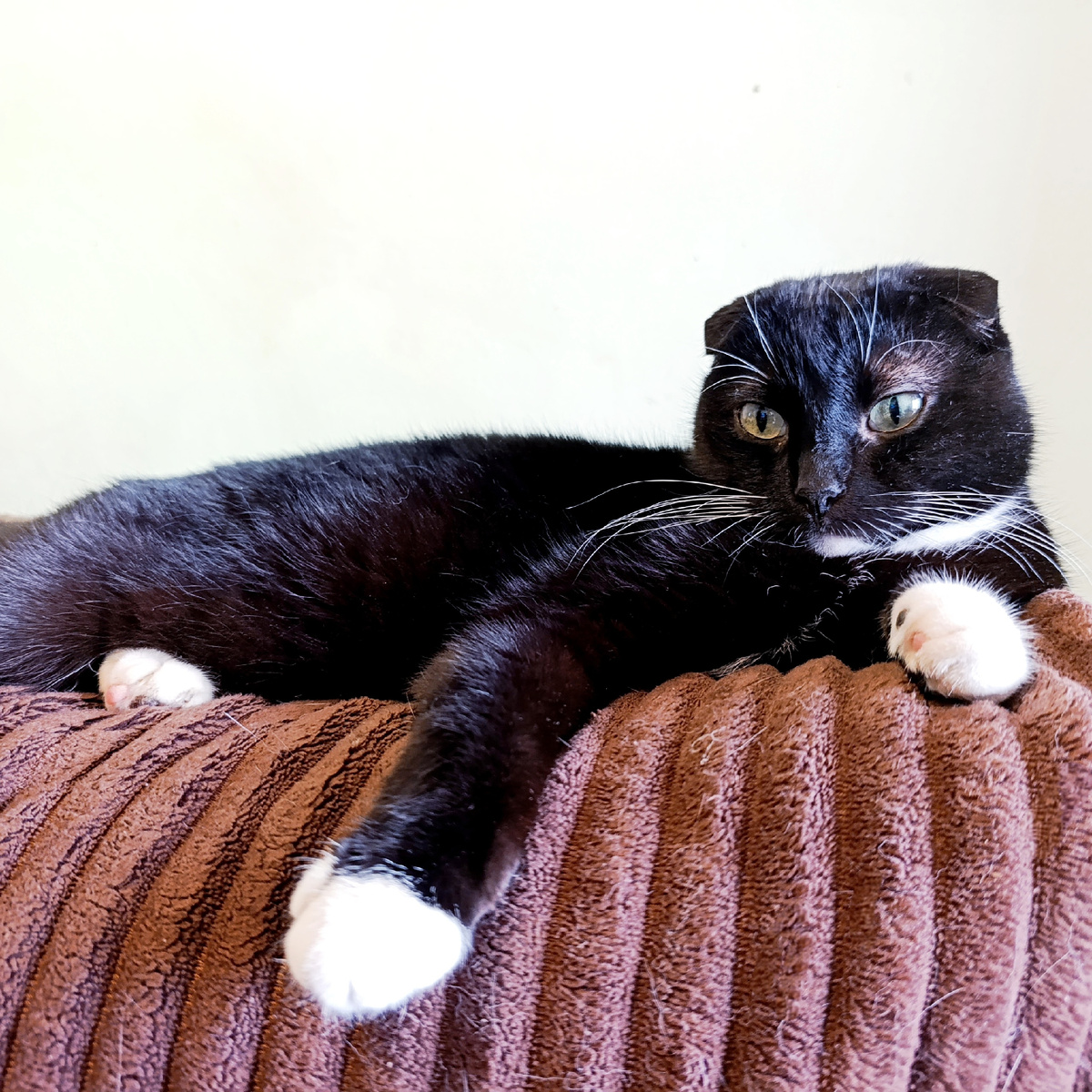 Сурен, двигает ваши сердечки