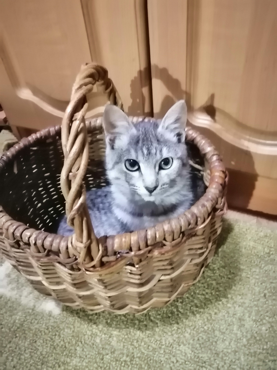 Корзинка Красной Шапочки