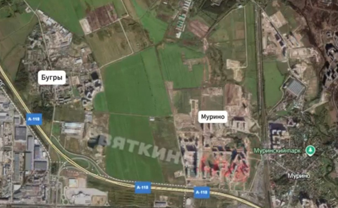    © vk.com / «Девяткино LIVE | Мурино»