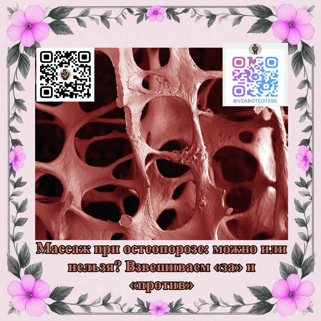 Фото микропрепарата кости -открытые источники