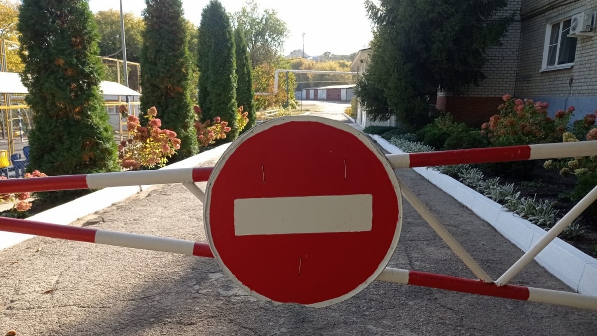    Саратовчанка призвала запретить автохамам парковаться в сквереНовости Саратова и области – Сетевое издание «Репортер64»