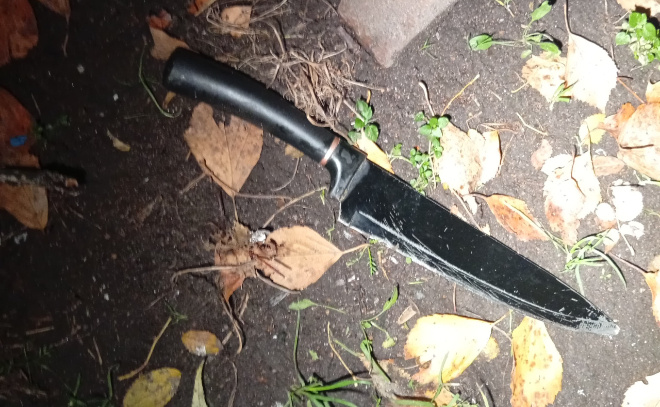    © Пресс-служба ГУ Росгвардии по Петербургу и Ленинградской области