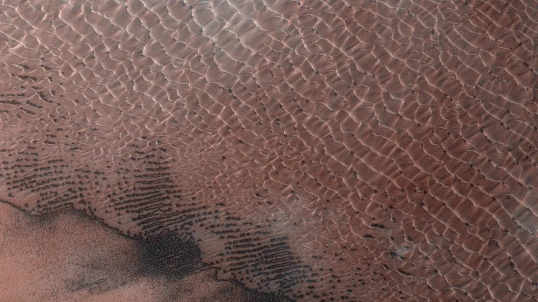    Roscosmos/Globallookpress