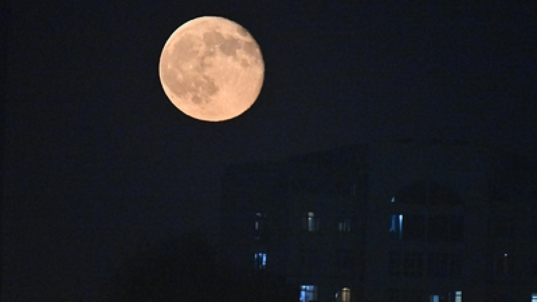    Komsomolskaya Pravda/Globallookpress