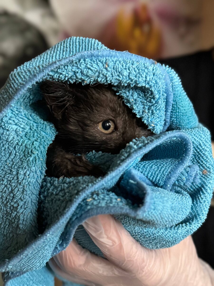 После купания