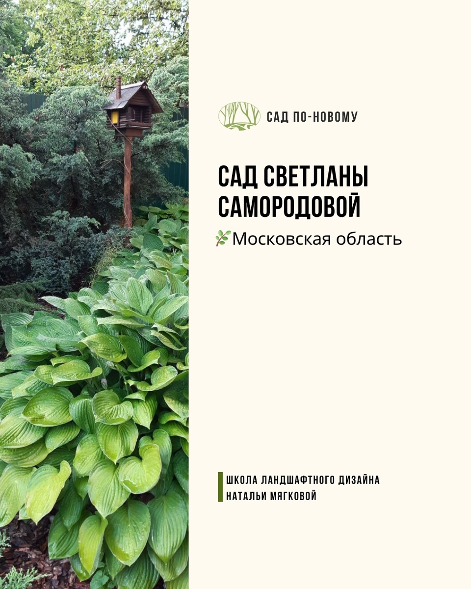 Листайте галерею по стрелке вправо 