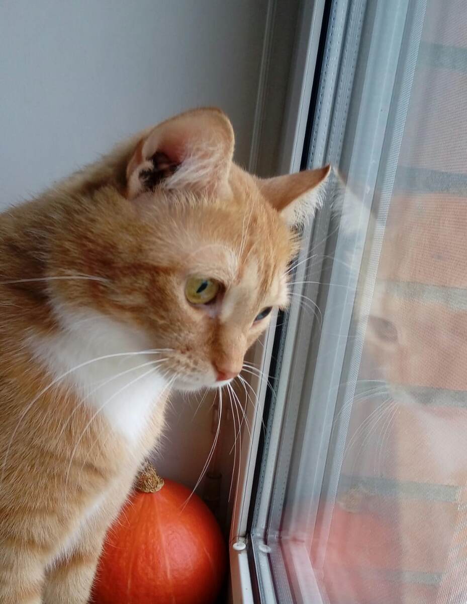 Василий высматривает солнце)) 