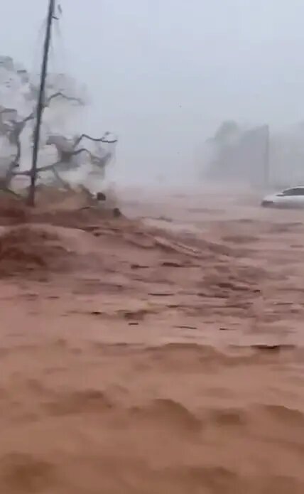    Фото: скриншот видео из соцсетей