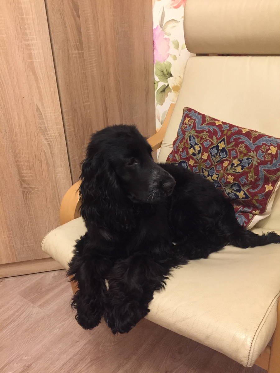 Лиззи в детстве