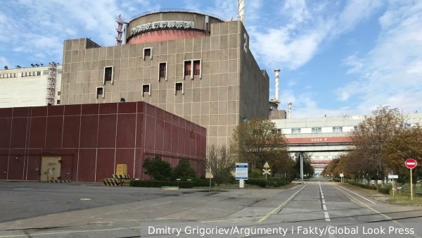     Фото: Dmitry Grigoriev/Argumenty i Fakty/Global Look Press   
 Текст: Антон Антонов