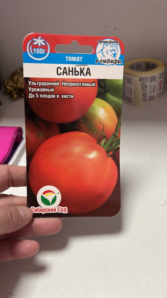 По отзывам пишут что хороший сорт, посмотрим следующим летом😄