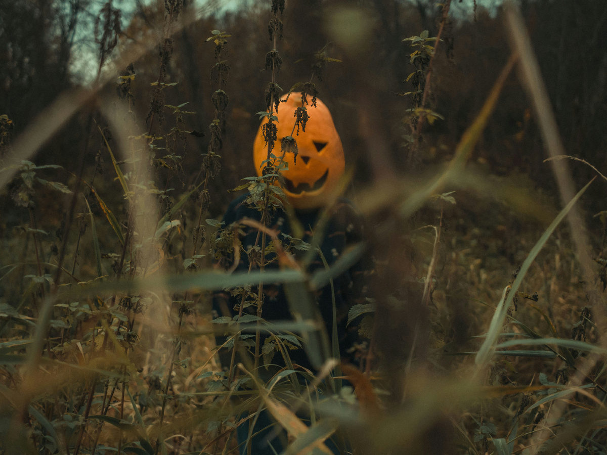     Annie Smurova/Unsplash