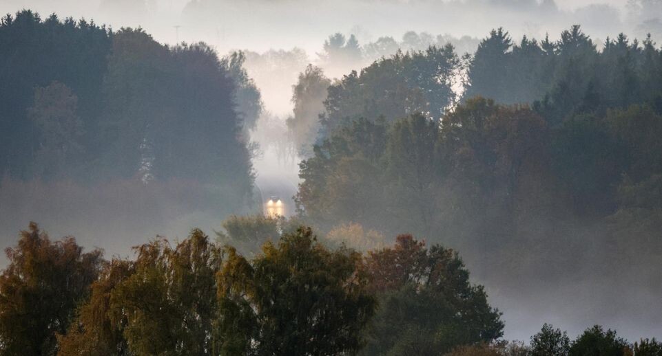    Thomas Warnack/dpa / www.globallookpress.com