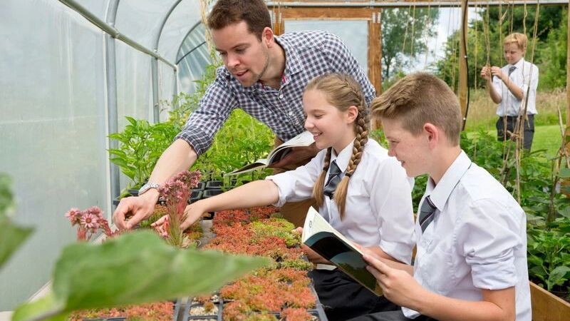    Фото: Juice Flair / Shutterstock / Fotodom