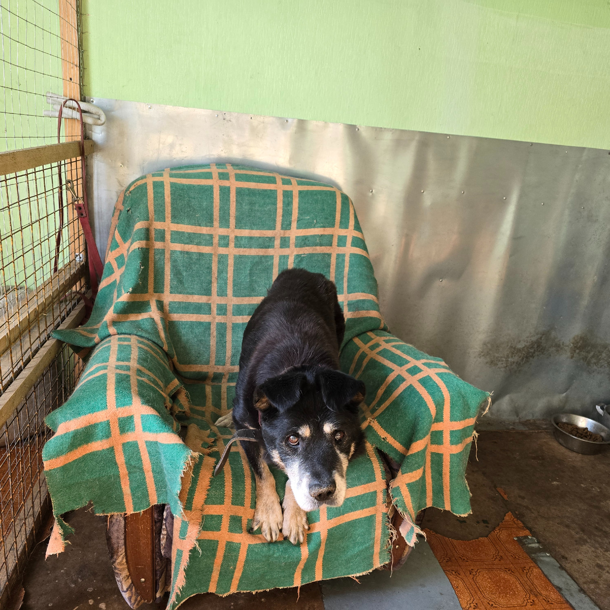 Прижался к подушке, убегая от реальности