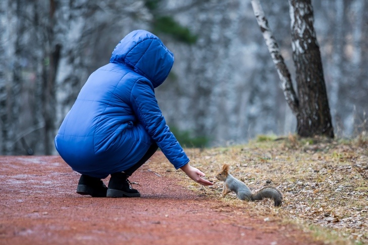   Фото Андрея Заржецкого
