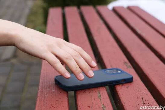 Из сети Интернет