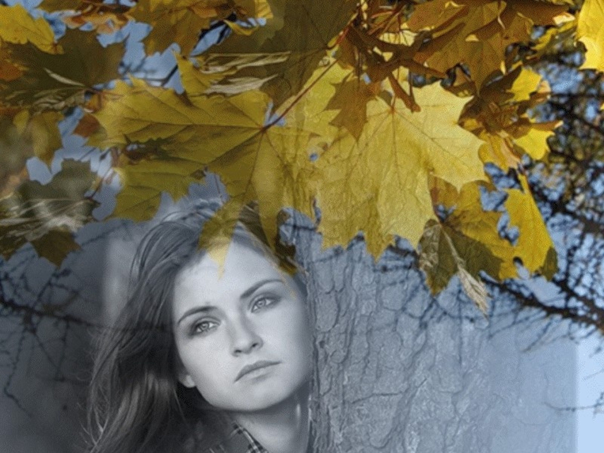 Фото из открытого источника Яндекс 