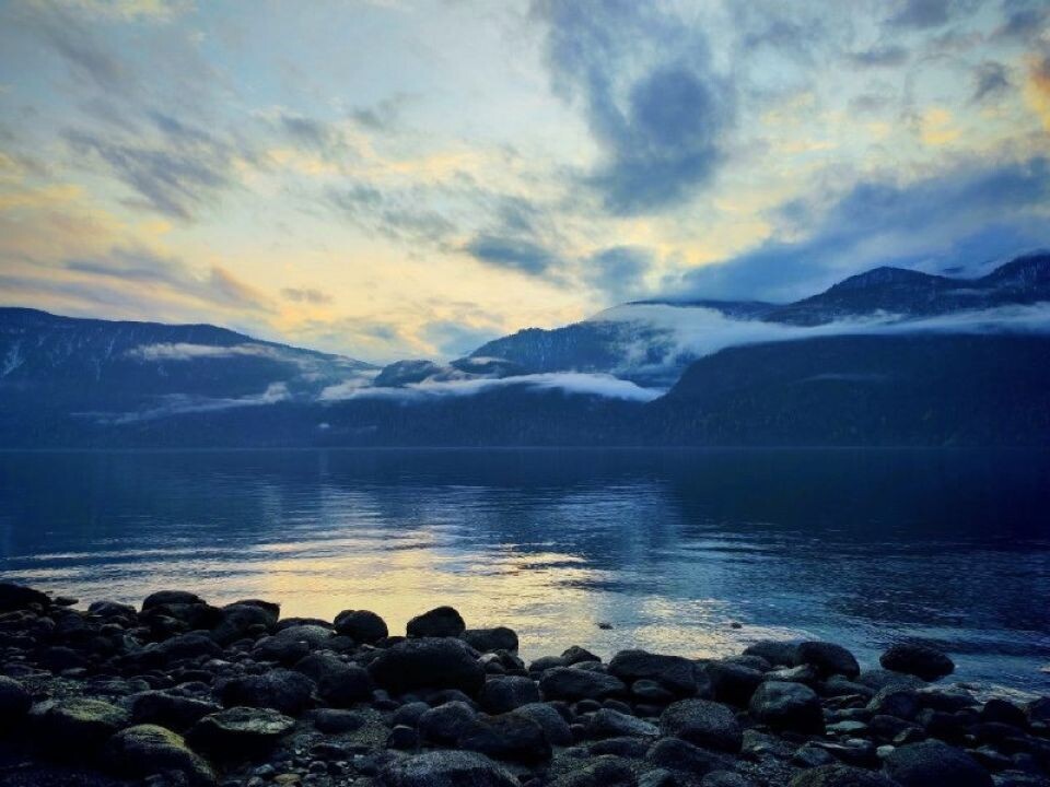    Окрестности кордона Кокши. Источник: Сергей Бакшин / t.me/altzap