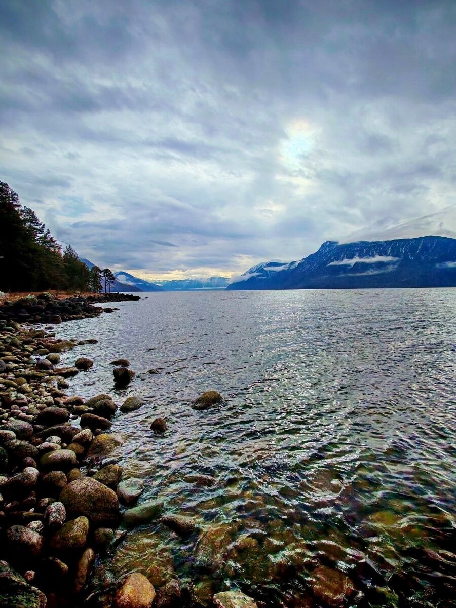    Окрестности кордона Кокши. Источник: Сергей Бакшин / t.me/altzap