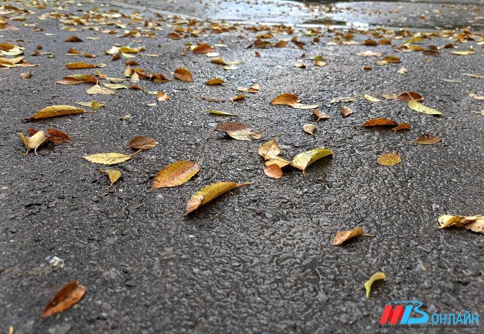    Фото: МТВ.ОНЛАЙН / Елизавета Денисова